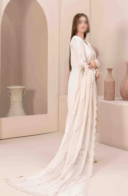 LEMA Fancy Heavy Embroidered Lawn Collection 2024 - D 2169
