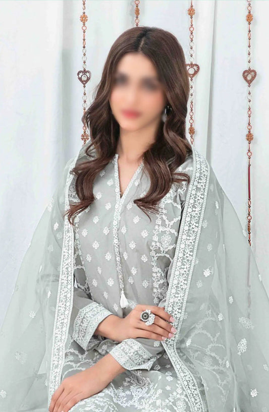 AENI Semi Stitched Fancy Embroidered Lawn Collection 2024 - D 2208