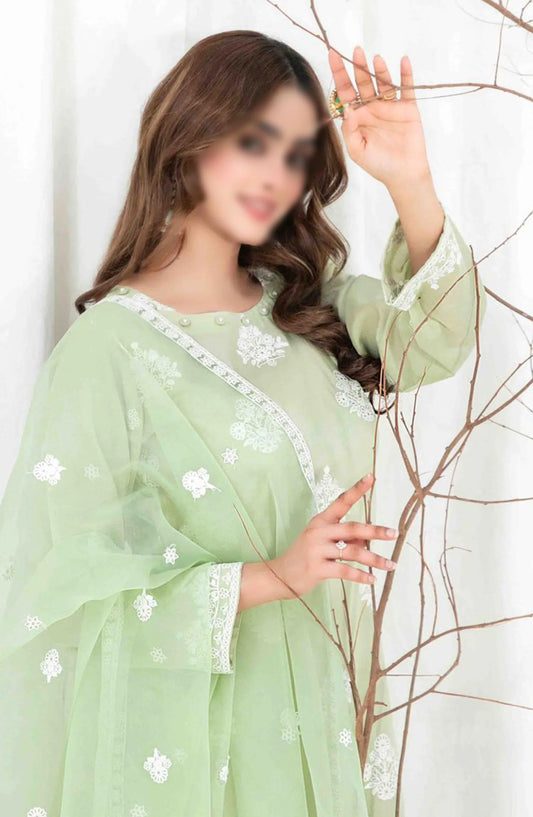 AENI Semi Stitched Fancy Embroidered Lawn Collection 2024 - D 2210