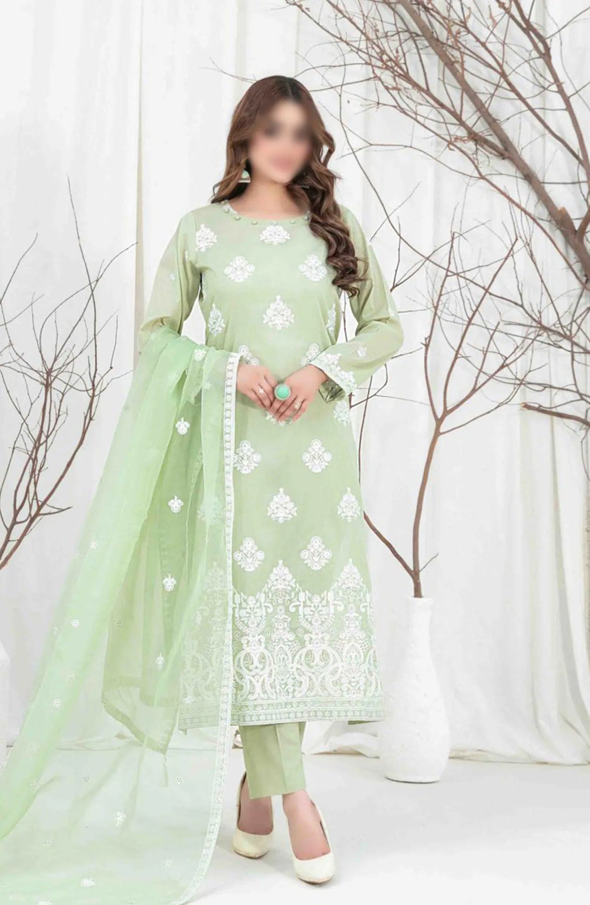 AENI Semi Stitched Fancy Embroidered Lawn Collection 2024 - D 2210