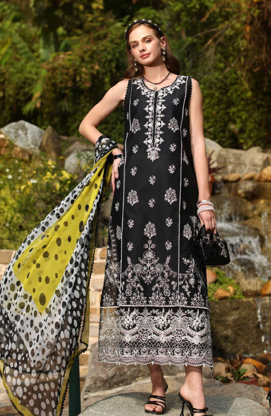 Noor by Saadia Asad Embroidered Luxe Chikankari Lawn Unstitched 3 Piece Suit - NSA25LC - D-03 B - Summer Collection