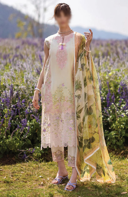 Mushq Hemline The Secret Garden SS 2024 - D 05 b Serenity