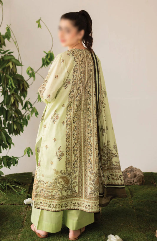 Kaira Embroidered Lawn Collection 2024 By Rashid Textile - D 8691