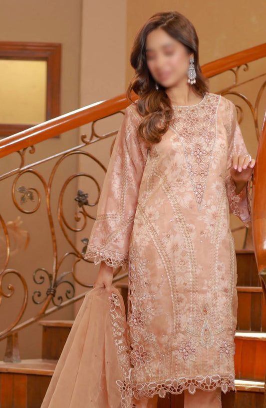 Guzel Naqsh Organza Stitched 3 Piece Collection - 03 DEENA