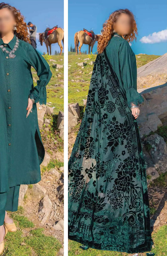 Insia Luxury Winter Zari Wool Collection By Riaz Arts - Design 01