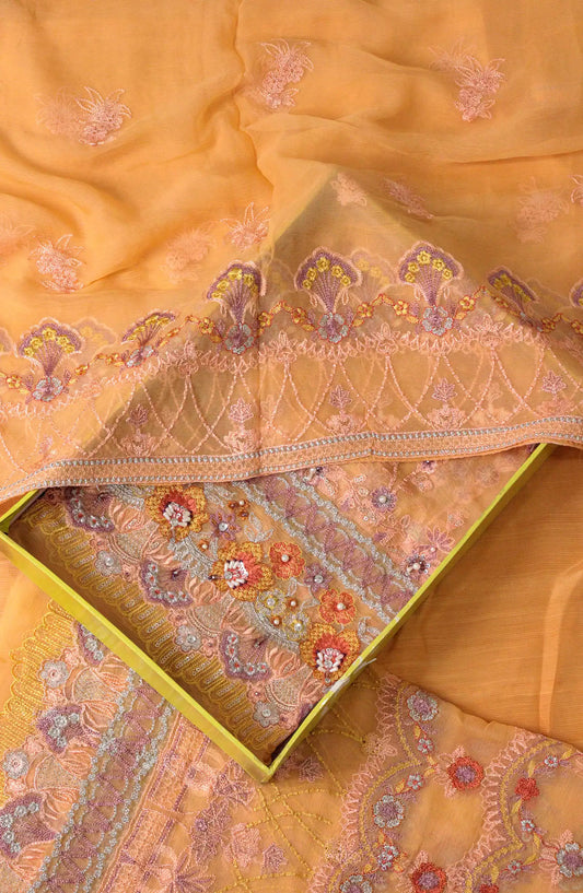 Razab Embroidered Chiffon Collection Vol 02 - AK-RECC-DESIGN-01