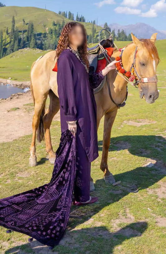 Insia Luxury Winter Zari Wool Collection By Riaz Arts - Design 02