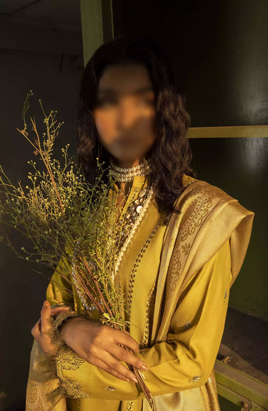 Rahgeer Embroidered Wool Collection By Humdum - Design 02
