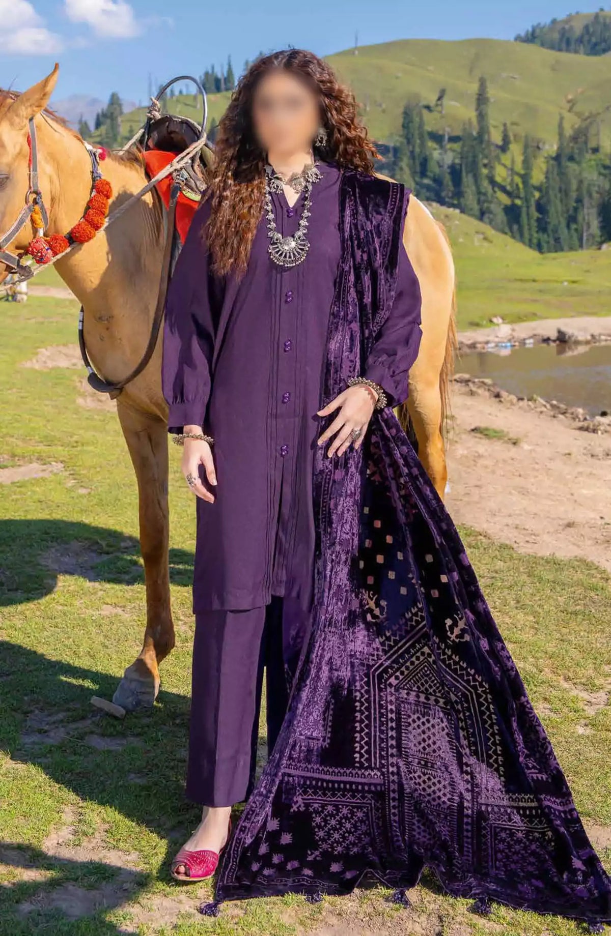 Insia Luxury Winter Zari Wool Collection By Riaz Arts - Design 02