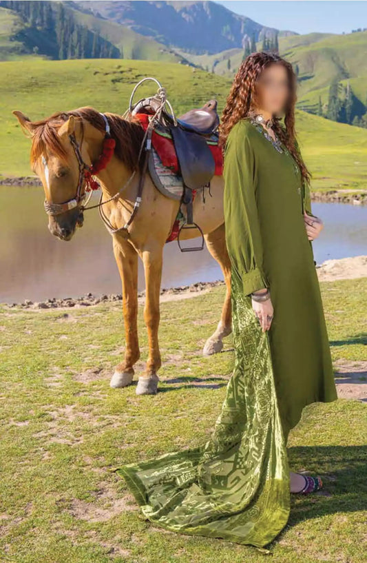 Insia Luxury Winter Zari Wool Collection By Riaz Arts - Design 03