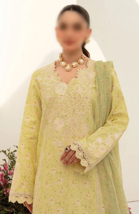 Rang Rasiya Florence Summer Edit 2024 - DESIGN-03 OLIVIA