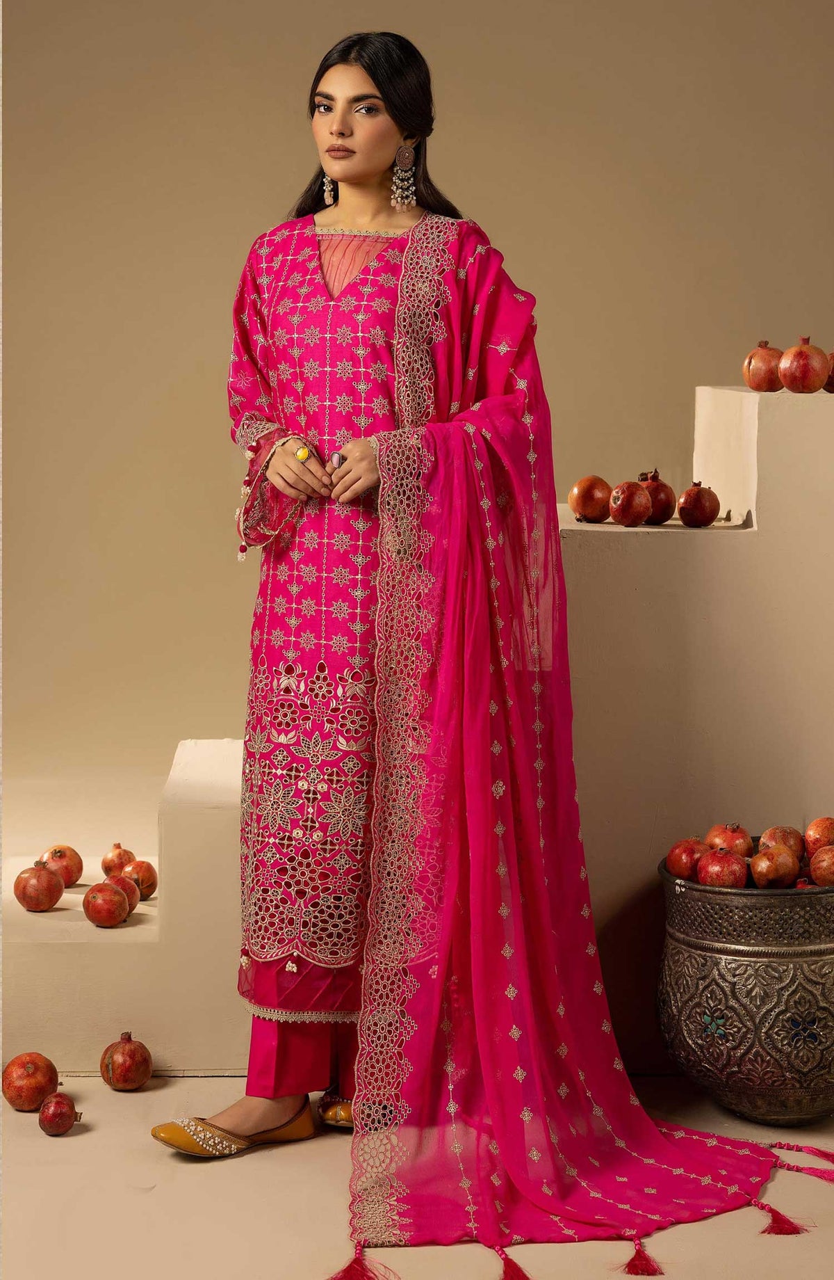 Mahees Mayanaaz by Riaz Arts Chikankari Lawn Unstitched 3 Piece - D-05 - RA25MMC - Summer Collection