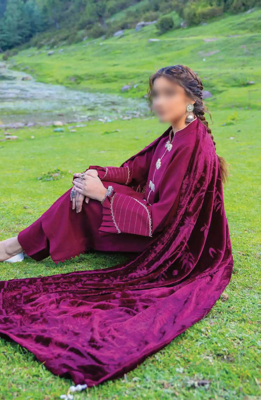 Insia Luxury Winter Zari Wool Collection By Riaz Arts - Design 06