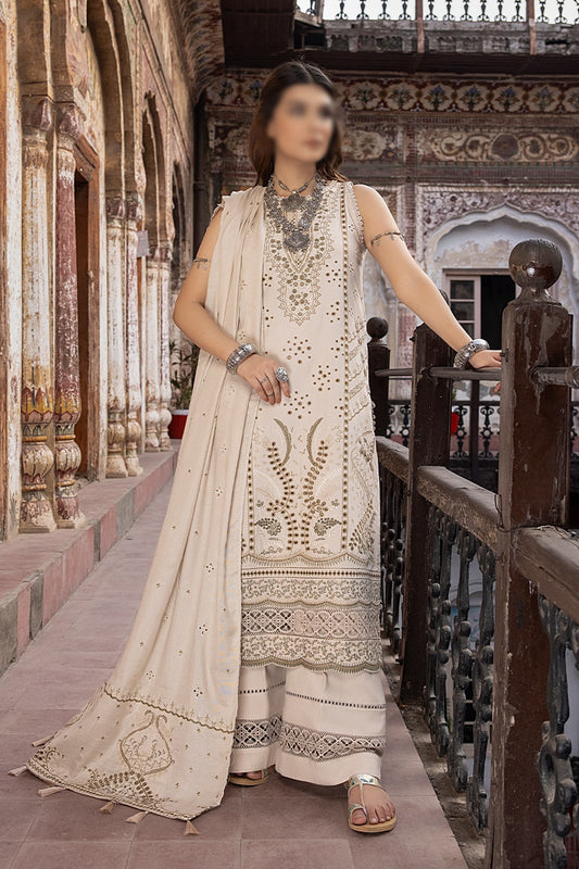 Vasal Embroidered Peach Leather Collection 2023 - HC - Design 06