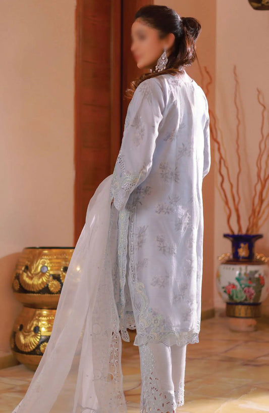 Guzel Naqsh Organza Stitched 3 Piece Collection - 05 DILARA