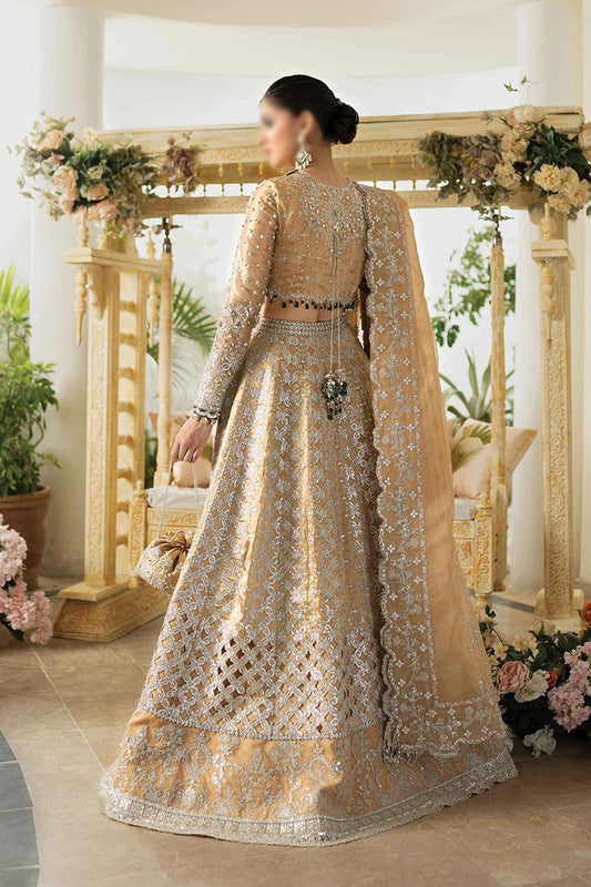 Qalamkar Dilnaz Wedding Formals 2023  - DN 01 IMAAN