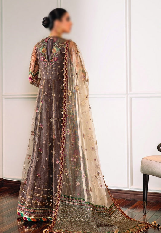 Baroque Chantelle Embroidered Chiffon Collection D-EC 02