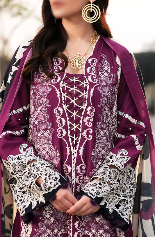 Elaf Winter Pashmina Shawl Collection 2024 - EPW-1A Infinite Love