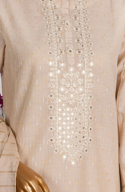HZ RTW Festive Hues LineKari Embroidered Collection 2024 - GSL 01 BEIGE