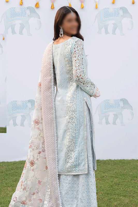 Iznik Shendi Luxury Chiffon Collection 2023 - ISC 02 FEROZA