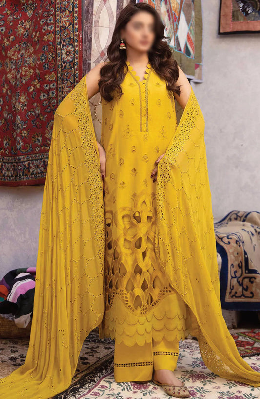 Johra Shafaq 4 Pcs Chikankari Lawn Collection 2024 - JH 223