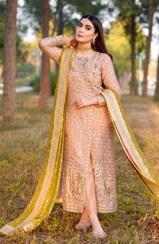 Hues Atelier Embroidered Cotton Net 3 Piece - Lucknowy Angrakha - HA25LF - Light Pink - Festive Collection