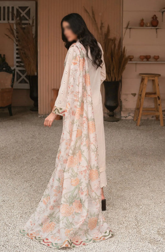 CutWork Embroidered Slub Lawn Collection by Marjjan - MNC 174 D