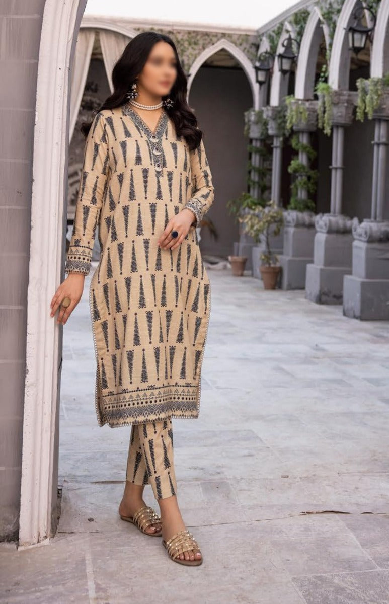 NUR Printed 02 Piece Khaddar Collection NK 08