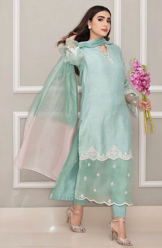 Luna Edit By Hues Atelier Embroidered Korean Raw Silk Stitched 3 Piece - Pale Green Fit - HA25L - Festive Collection