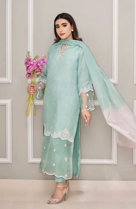 Luna Edit By Hues Atelier Embroidered Korean Raw Silk Stitched 3 Piece - Pale Green Fit - HA25L - Festive Collection