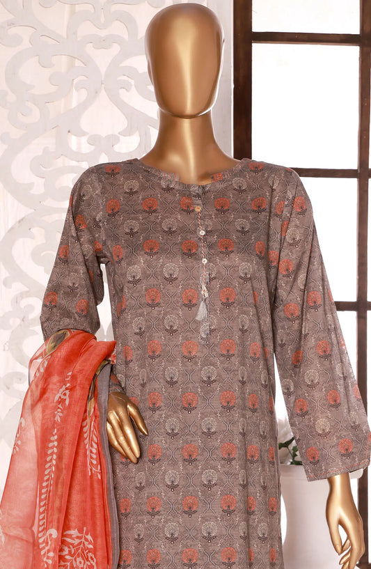 HZ Kaavish RTW Printed Co Ords Collection 2024 - PCD 402 grey