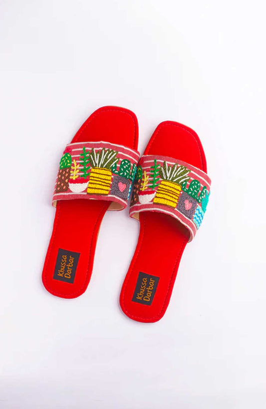 Khussa Darbar Fastive Style Slipper Plants