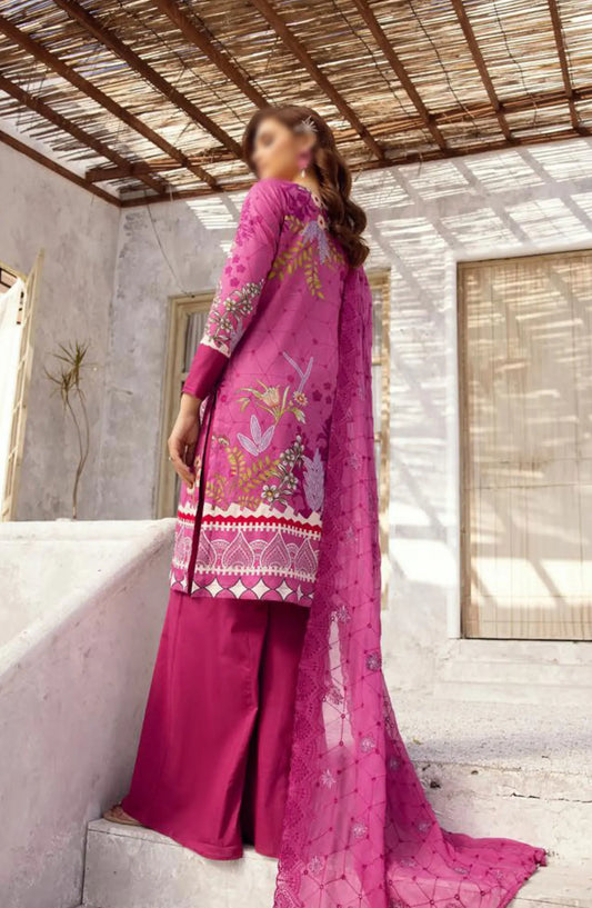 NUR Rang Barang Embroidered and Printed Lawn Collection 2024 - RB 302