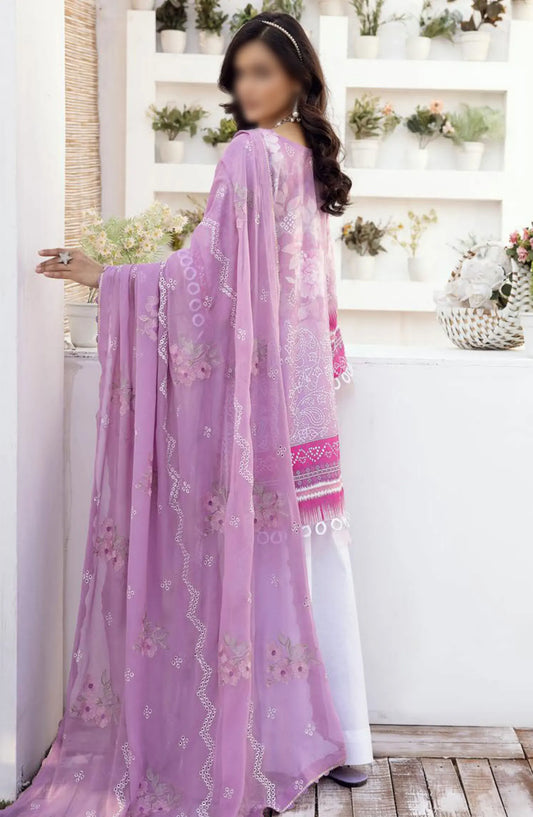 NUR Rang Barang Embroidered and Printed Lawn Collection 2024 - RB 309