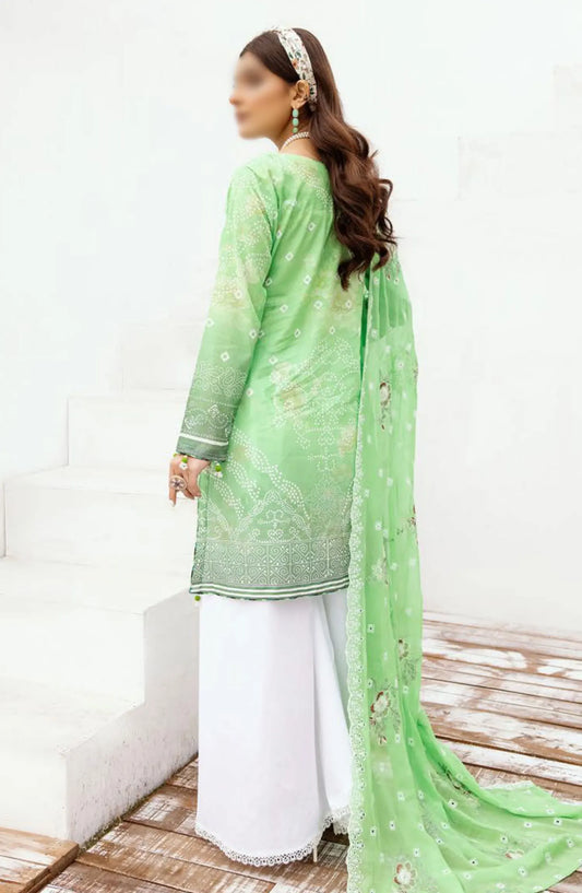 RangNagar Embroiderd and Printed Lawn Collection By NUR - RN-400