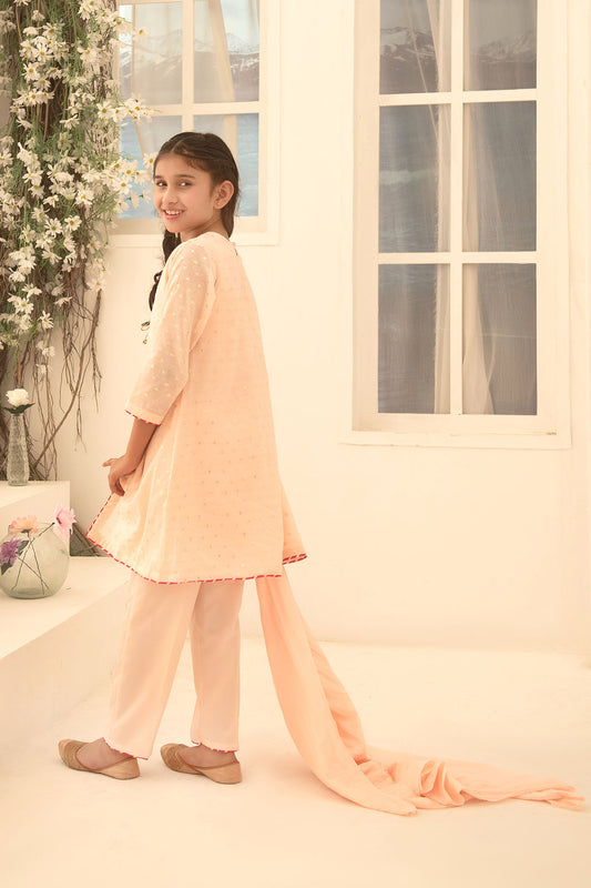 Ochre Festive Wear Zari Jacquard Stitched 3 Piece - SHD-11 - Peach - Girls Collection