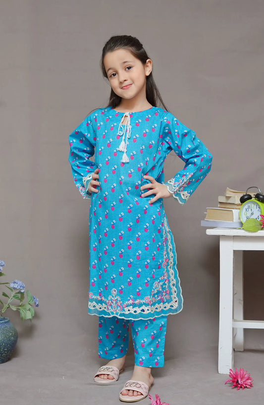 Shanzey Co Ords Lawn Embroidered Collection 2024 - SHK-1924