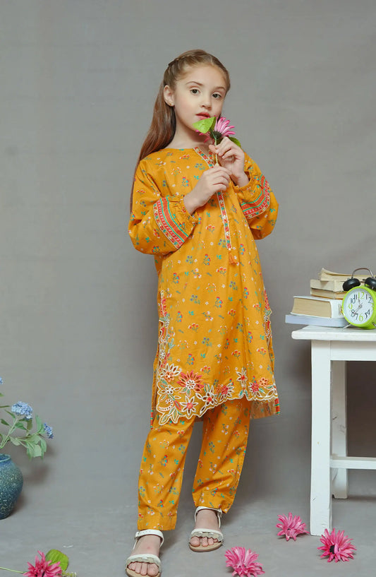 Shanzey Co Ords Lawn Embroidered Collection 2024 - SHK-1926