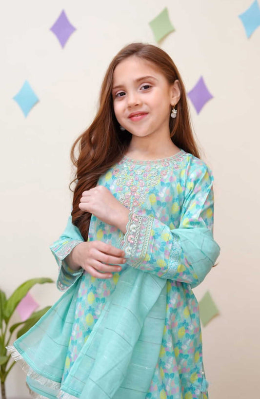 Shanzey Embroidered Co-Ords Cotton Stitched 3 Piece - SHK-3401-SKY BLUE - Sky Blue - Summer Collection