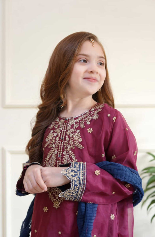 Shanzey Embroidered Organza Stitched 3 Piece - SHK-3503-Majenta - SH25EB - Purple - Festive Girls Collection
