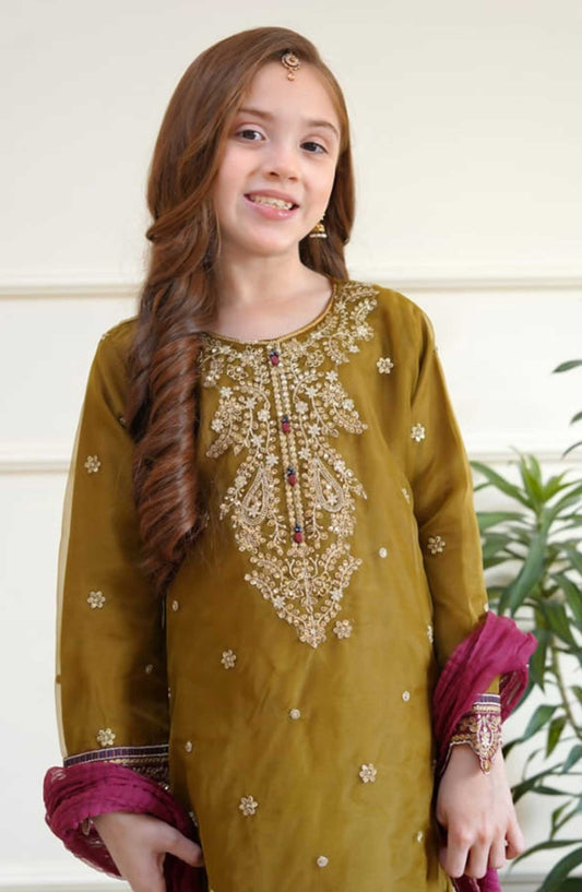 Shanzey Embroidered Organza Stitched 3 Piece - SHK-3504-Mehendi - SH25EB - Dusty Mustard - Festive Girls Collection