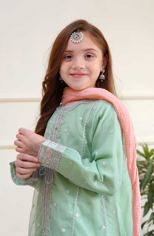 Shanzey Embroidered Organza Stitched 3 Piece - SHK-3505-Mint - SH25EB - Blue Mist - Festive Girls Collection