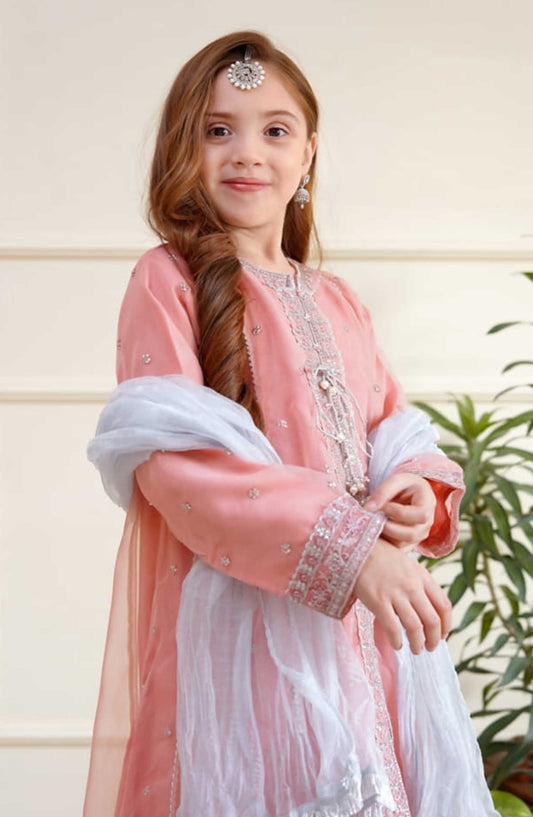 Shanzey Embroidered Organza Stitched 3 Piece - SHK-3506-Peach - SH25EB - Peach - Festive Girls Collection