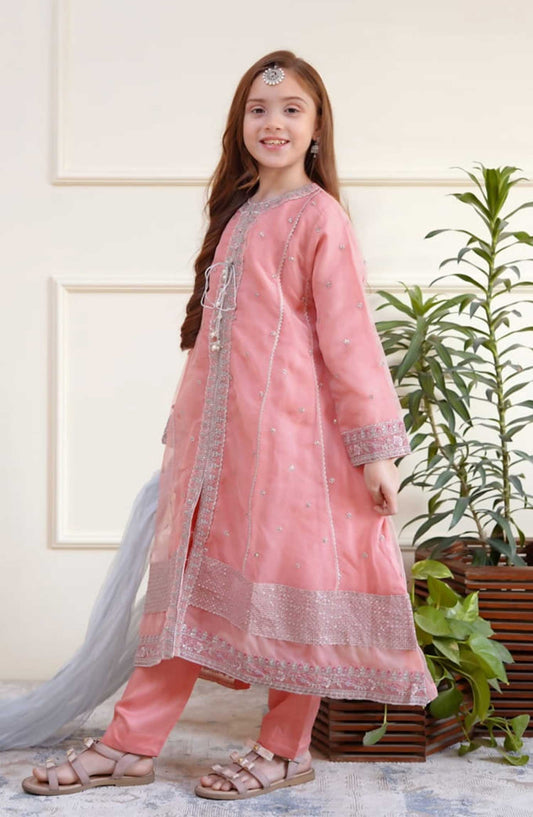 Shanzey Embroidered Organza Stitched 3 Piece - SHK-3506-Peach - SH25EB - Peach - Festive Girls Collection