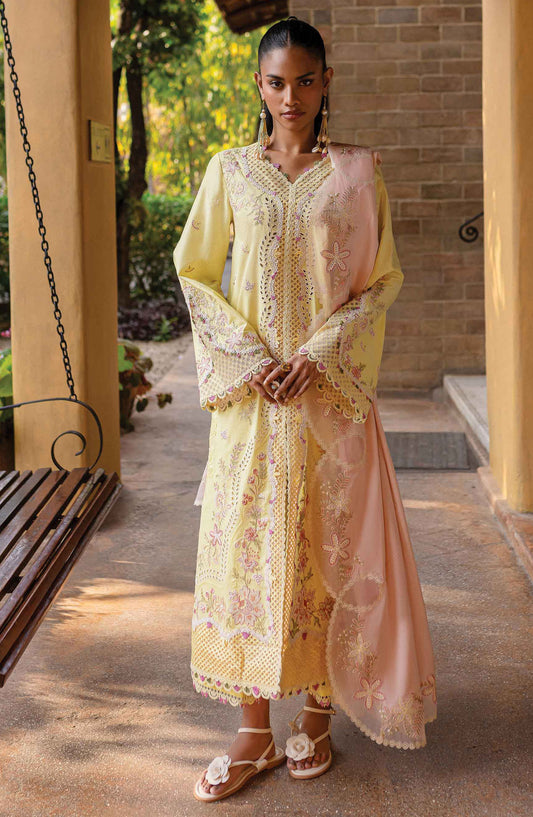 Qline by Qalamkar Chikankari Lawn Unstitched 3 Piece Suit - QM-11 Ina - Q25QL - Yellow - Summer Collection