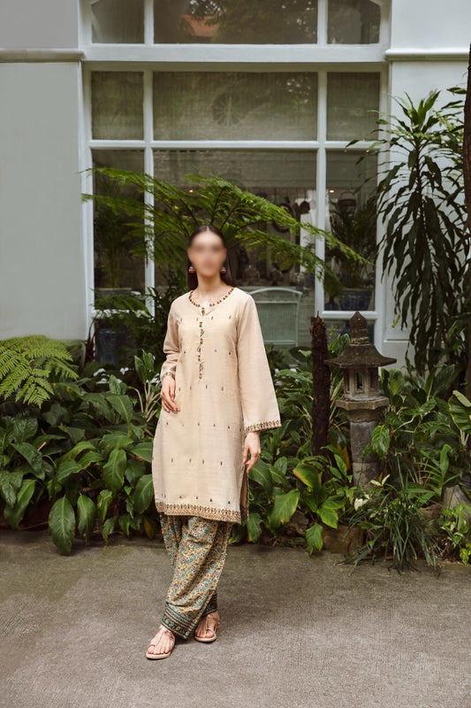 ZellBury Winter Unstitched Collection 2023 (2 Piece) - 01