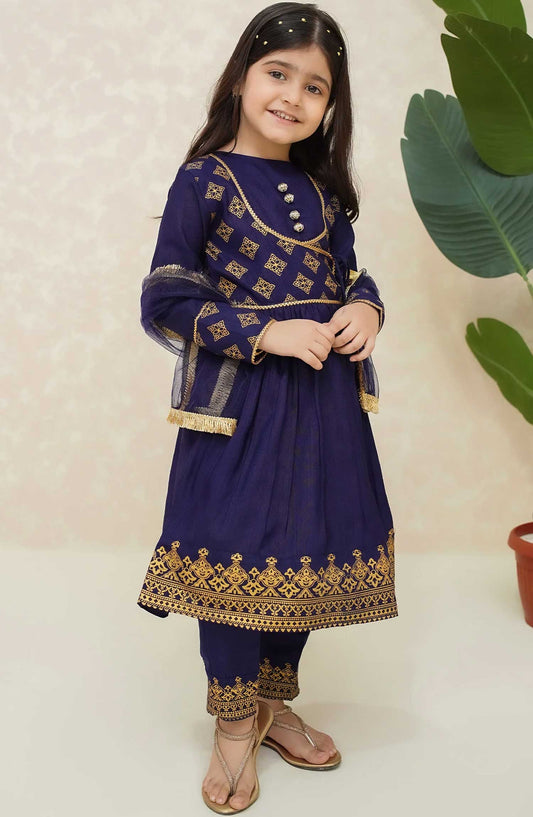 Modest Embroidered Raw Sillk Stitched 3 Piece - Zehra Blue - MD25F - Festive Collection