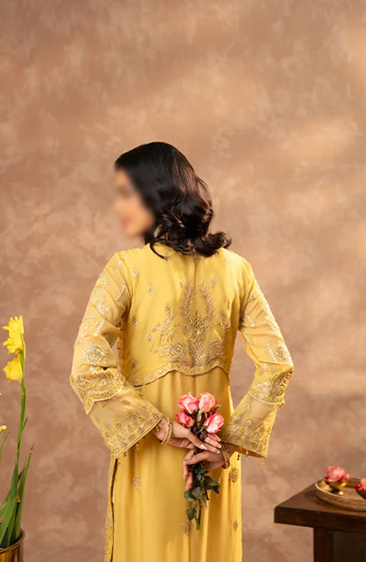 Zebtan Zeenat Festive Unstitched Collection 2024 - ZN 01