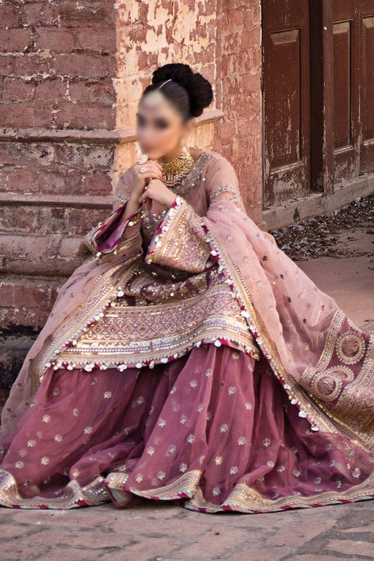Zarlish BY MNR Talpur Dynasty Unstitched Festive Vol 04 - ZW 23 25 AARZOO