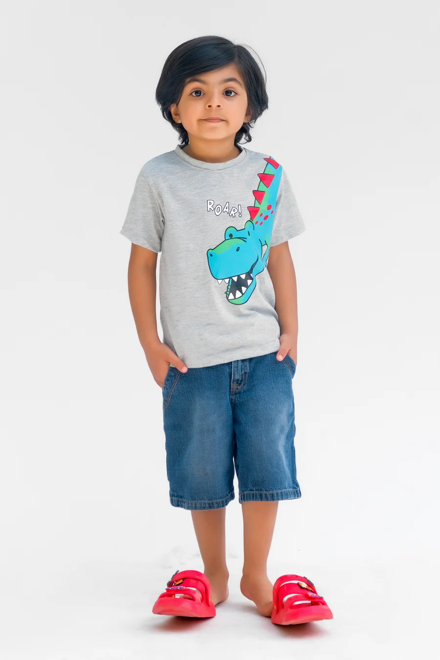 Roar Dino Half Sleeves T-Shirts For Kids - Grey